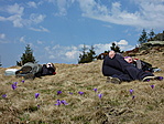 Pihenő 2.