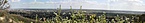 Panoráma