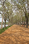 Balatonföldvári sétány