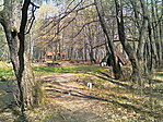 Pihenők