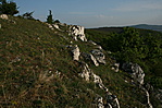 A kilátó