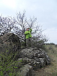 terepszemle