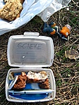 GCNEKE