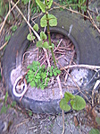 szeméthalom