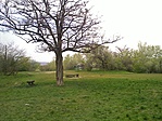 Tamariska-dombi kilátás