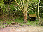 Király-kút