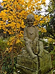 Sanyika
