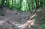 A száraz meder
