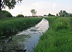 Patak