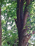 2.
