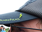 Potyautas