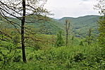 Kilátás