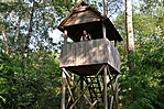 Vadászlesen