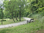 Csendélet