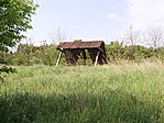 Enyészet