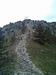 Lefelé