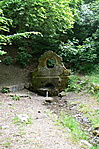 Forrás