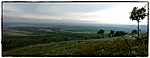 Panoráma