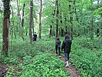 A láda felé félúton