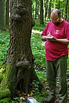 Log készül
