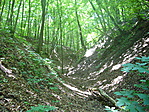 Vízmosás