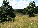 A Nagy-réten