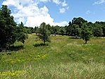A Nagy-réten