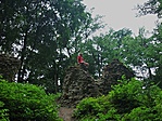 A falon