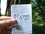Log :)