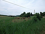 Dötk határában