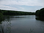 Fodros vízfelület