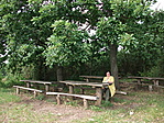 Log után