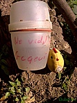 geocsibe a ládával