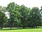 Kastélypark