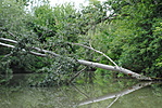 A kisTisza