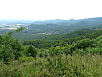 Panoráma