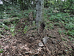hűlt helye