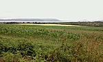 GCSMSK_20110619135437.jpg