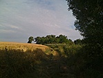Szilszakáll és cimborái