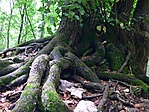 A láda helye (szerintem)
