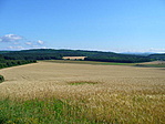 Búzatábla
