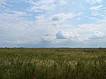 Magyar puszta