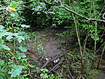 Mocsárban
