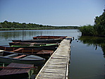 A tó 2