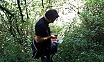 GCVMa_20110716093712.jpg