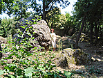 A Bába-kőnél