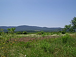 Kilátás