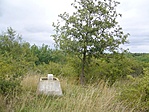 magassági pont