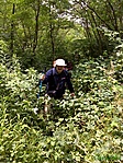 dzsungelharcos