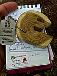 logom